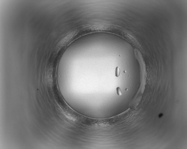 X0000052550586200507152202