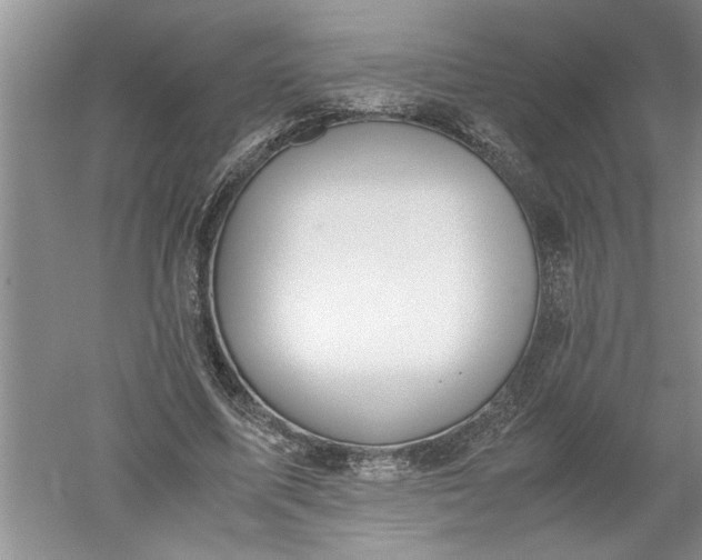 X0000052550587200507152202