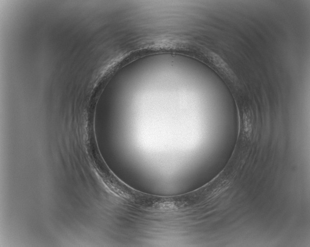 X0000052550588200507152202