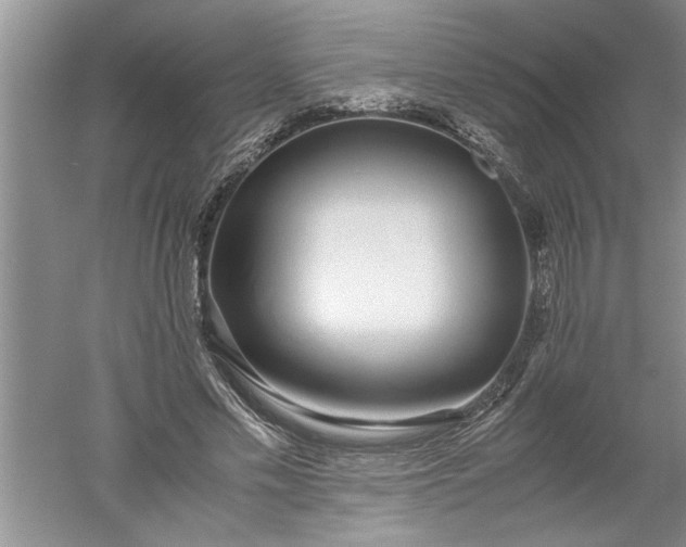 X0000052550589200507152202