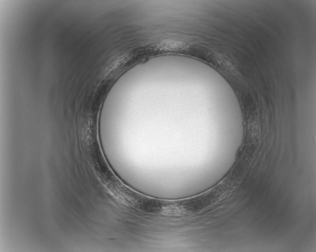 X0000052550591200507152202