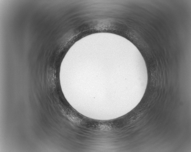 X0000052550592200507152202