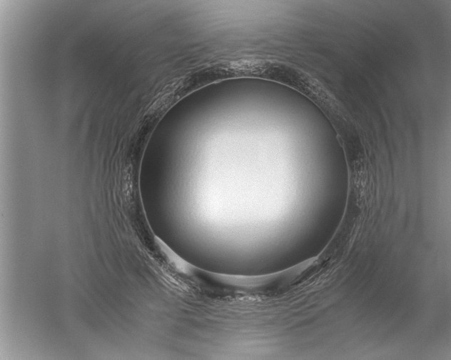 X0000052550593200507152202