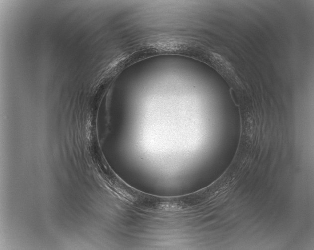 X0000052550596200507152202