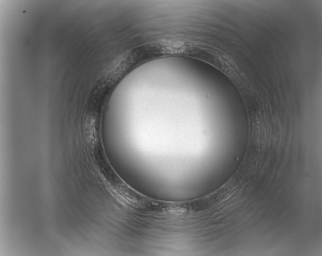 X0000052550598200507152202