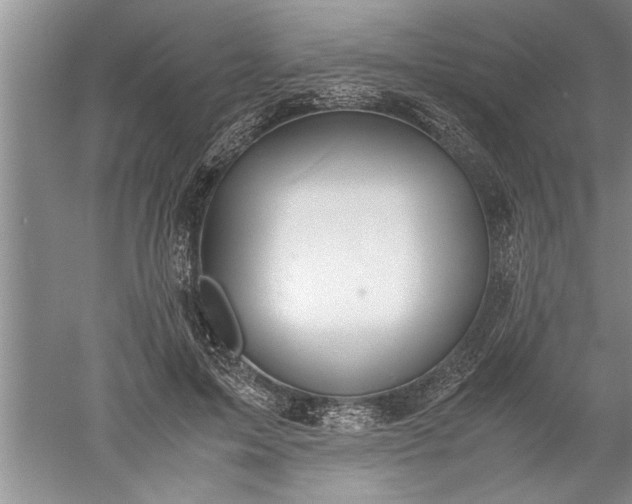 X0000052550599200507152201