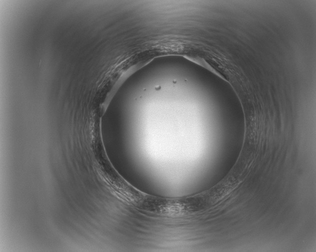 X0000052550600200507152201