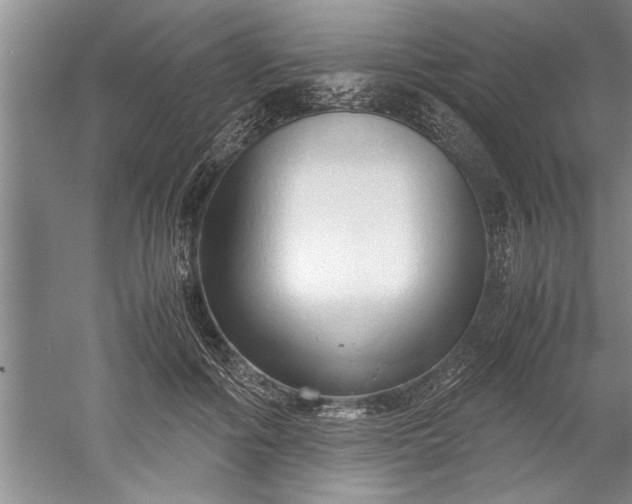 X0000052550602200507152201