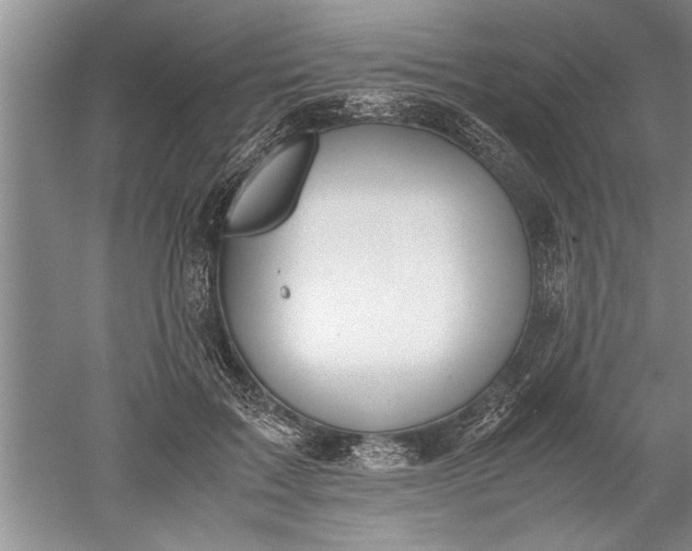 X0000052550603200507152201