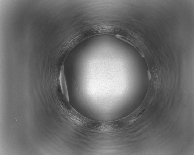 X0000052550604200507152201