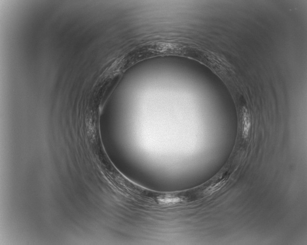 X0000052550607200507152201