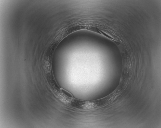 X0000052550609200507152201