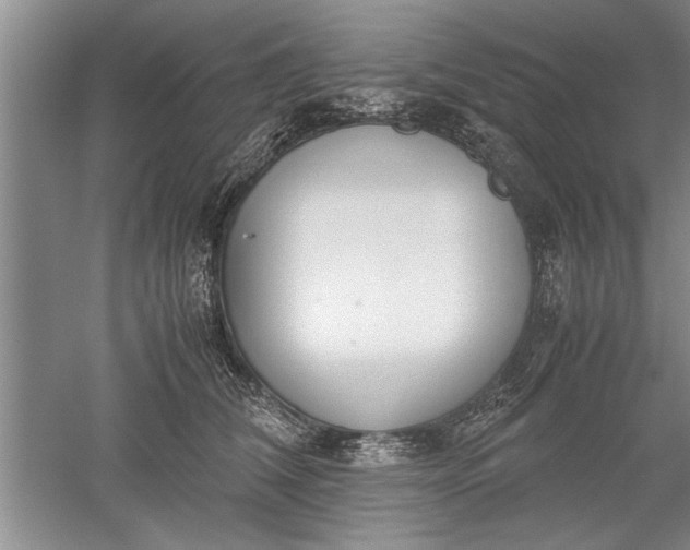 X0000052550612200507152201