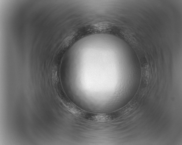 X0000052550615200507152201