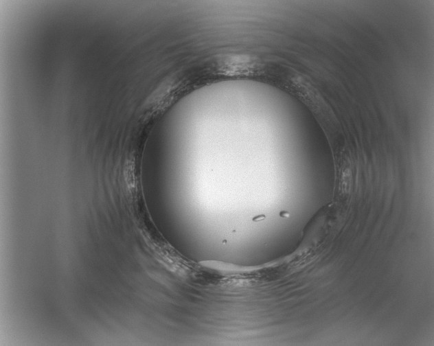 X0000052550620200507152201