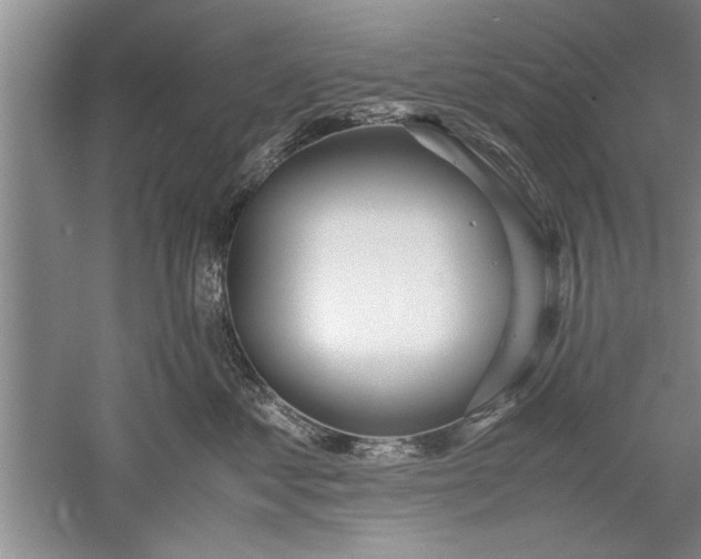 X0000052550621200507152201