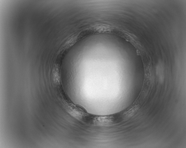 X0000052550622200507152201