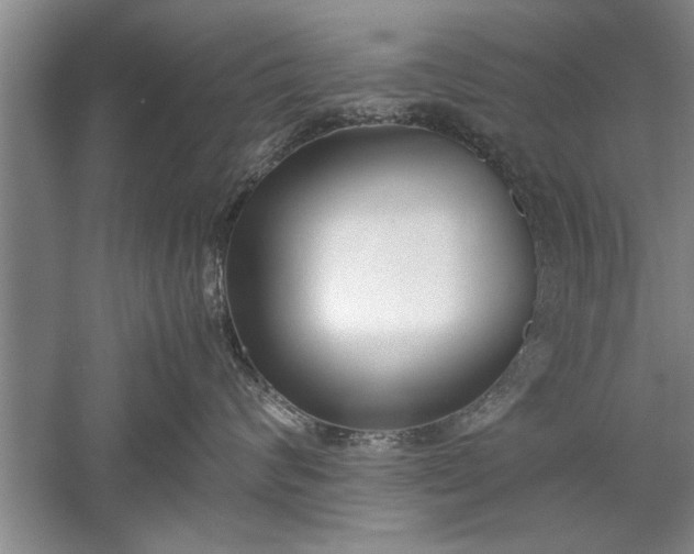 X0000052550624200507152201