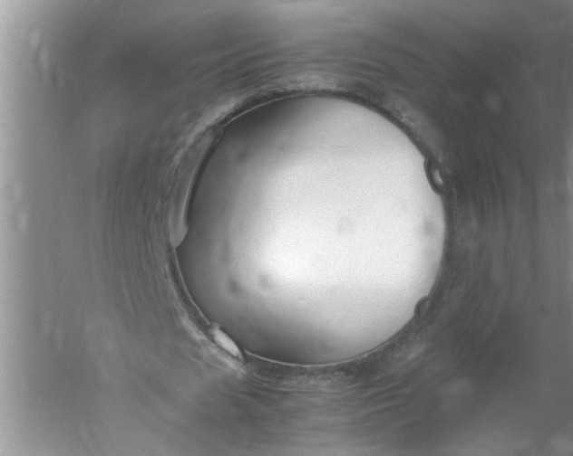 X0000052550625200507152200