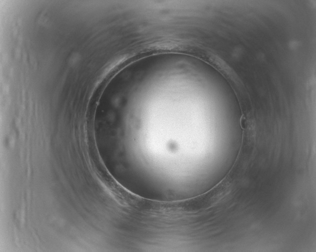 X0000052550626200507152200