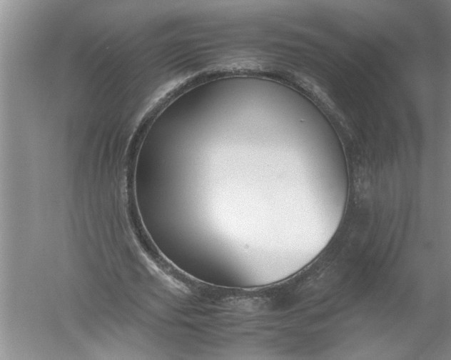 X0000052550629200507152200