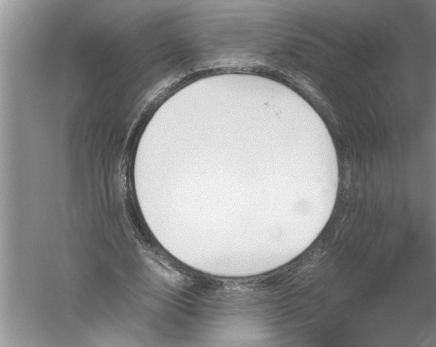 X0000052550632200507152200