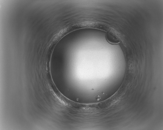 X0000052550633200507152200