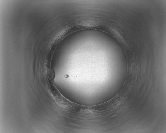 X0000052550635200507152200