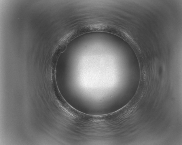 X0000052550637200507152200