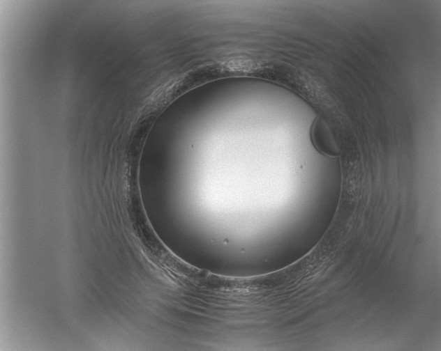 X0000052550639200507152200