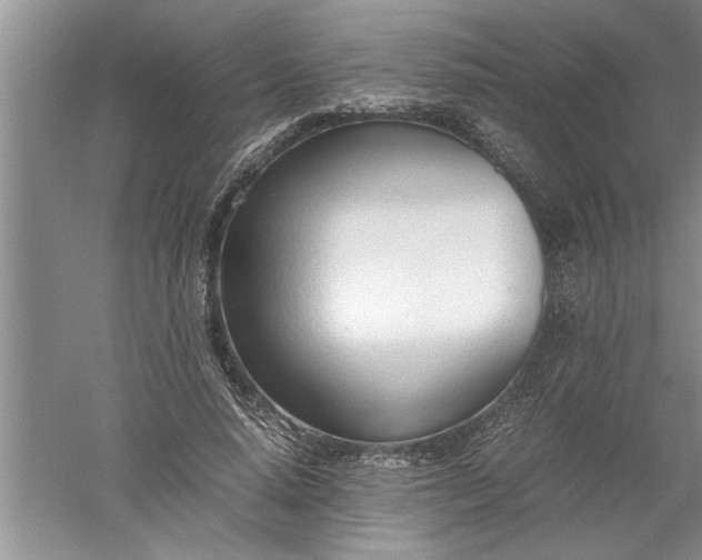 X0000052550640200507152201