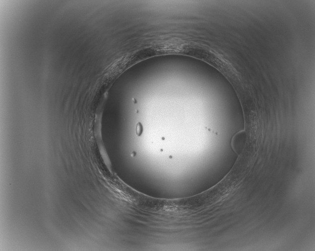 X0000052550641200507152201