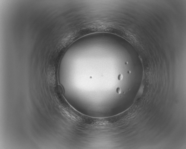 X0000052550642200507152201