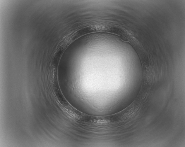 X0000052550645200507152201