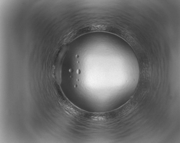 X0000052550649200507152201