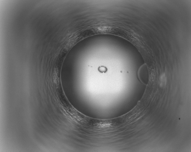 X0000052550651200507152201