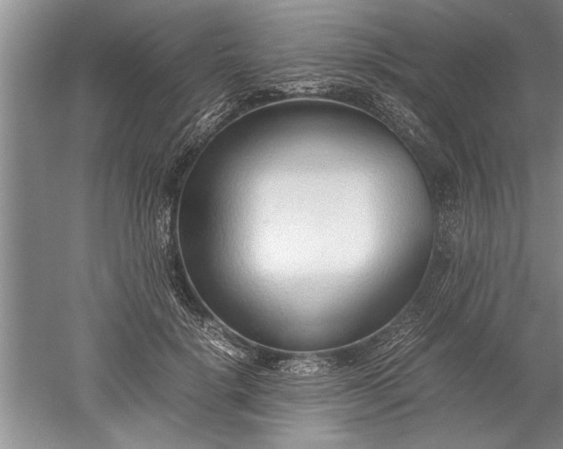 X0000052550652200507152201