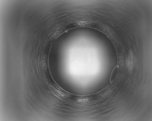 X0000052550653200507152201