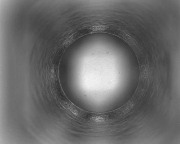 X0000052550655200507152201