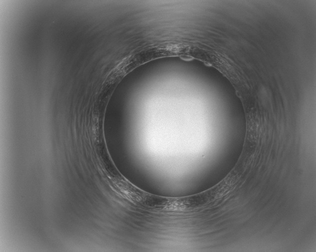 X0000052550656200507152201