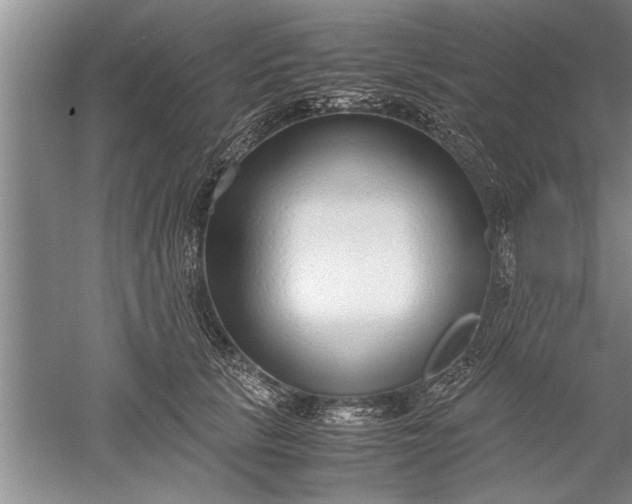 X0000052550657200507152201