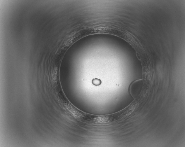 X0000052550660200507152201