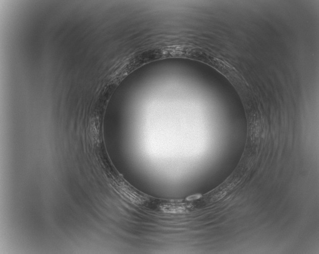 X0000052550661200507152201