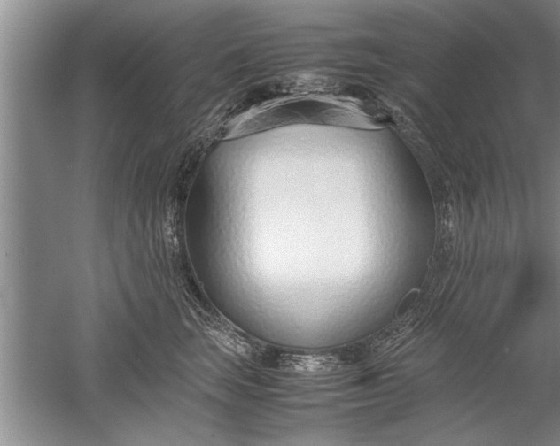 X0000052550663200507152201