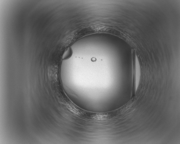 X0000052550664200507152201