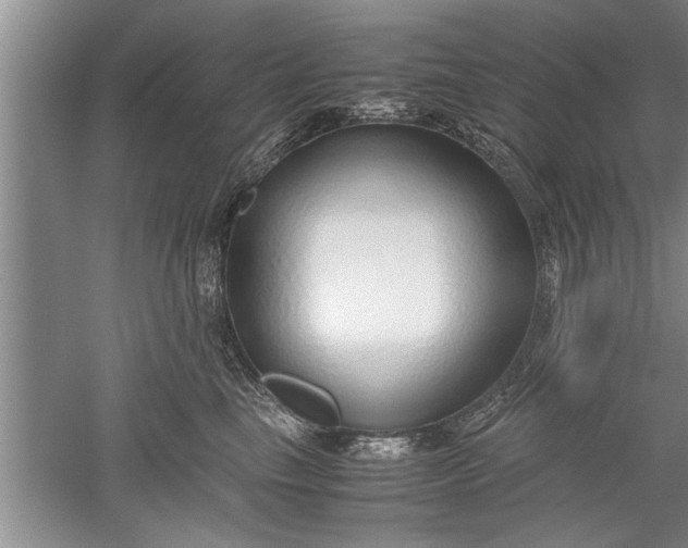 X0000052550665200507152201