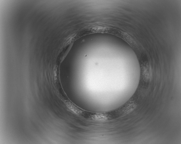 X0000052550668200507152201