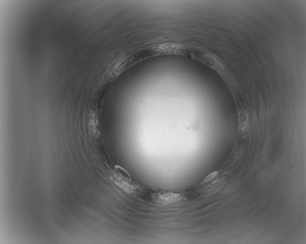 X0000052550669200507152201