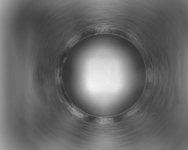 X0000052550670200507152201