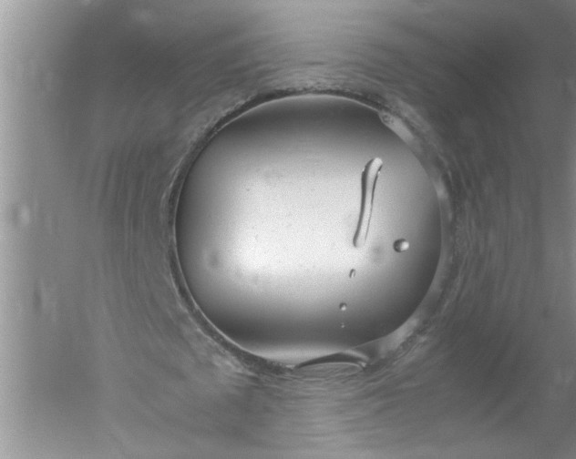 X0000052550673200507152200